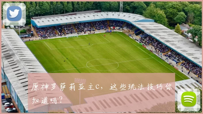 原神罗萨莉亚主c，这些玩法技巧你知道吗？