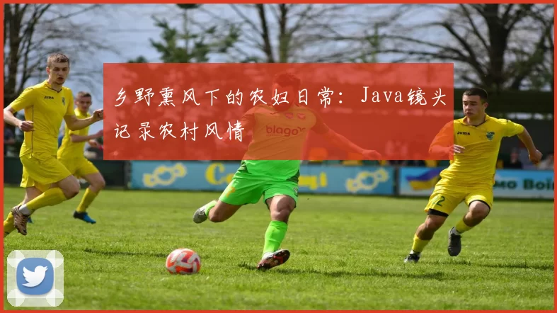 乡野熏风下的农妇日常：Java镜头记录农村风情