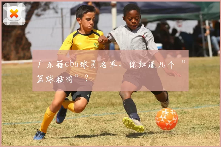 广东籍cba球员名单，你知道几个“篮球猛将”？