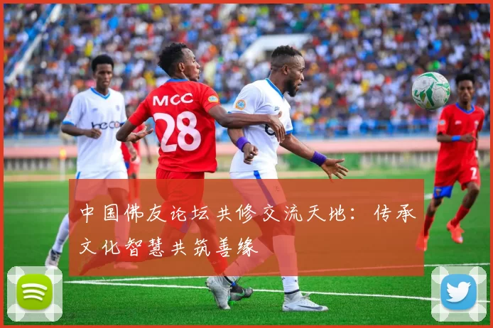 中国佛友论坛共修交流天地:传承文化智慧共筑善缘