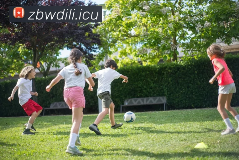 九游体育(中国)官方网站 - 九游 SPORTS品牌故事